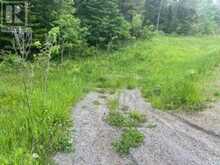17556 HIGHWAY 62 | Madoc Ontario | Slide Image Ten