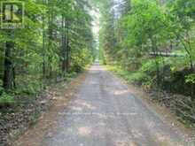 17556 HIGHWAY 62 | Madoc Ontario | Slide Image Eleven