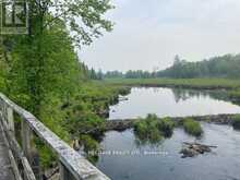 17556 HIGHWAY 62 | Madoc Ontario | Slide Image Thirteen