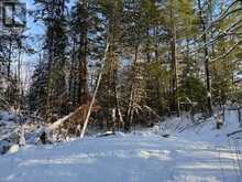17556 HIGHWAY 62 | Madoc Ontario | Slide Image Thirty