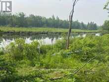 17556 HIGHWAY 62 | Madoc Ontario | Slide Image Four