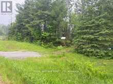17556 HIGHWAY 62 | Madoc Ontario | Slide Image Six