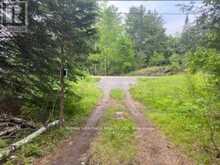 17556 HIGHWAY 62 | Madoc Ontario | Slide Image Seven