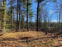 17556 HIGHWAY 62 | Madoc Ontario | Slide Image One