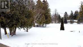 273 PEFFERLAW ROAD | Georgina Ontario | Slide Image Six