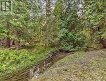 7670 19TH SIDE ROAD | Schomberg Ontario | Slide Image Seven