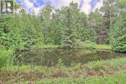 7670 19TH SIDE ROAD | Schomberg Ontario | Slide Image Eight