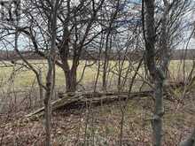 PTLT 20 CON 8 (9TH LINE) | Amaranth Ontario | Slide Image Ten