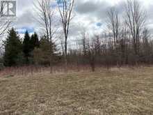 PTLT 20 CON 8 (9TH LINE) | Amaranth Ontario | Slide Image Fifteen
