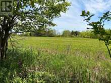 PTLT 20 CON 8 (9TH LINE) | Amaranth Ontario | Slide Image Sixteen