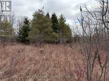 PTLT 20 CON 8 (9TH LINE) | Amaranth Ontario | Slide Image Eighteen