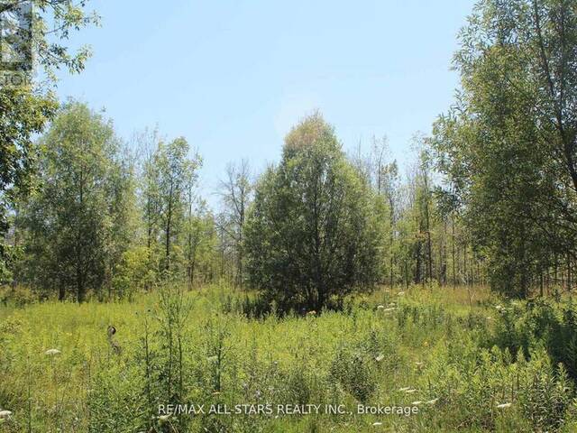 0 METRO ROAD Georgina Ontario, L4P 3G1 - Vacant Land For Sale