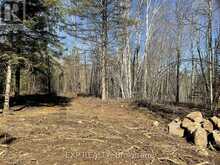 PART LOT 32 AND 33 PART 2 CONC 1 CONCESSION | Highlands East Ontario | Slide Image Twelve