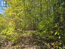 PART LOT 32 AND 33 PART 2 CONC 1 CONCESSION | Highlands East Ontario | Slide Image One