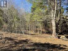 PART LOT 32 AND 33 PART 2 CONC 1 CONCESSION | Highlands East Ontario | Slide Image Nine