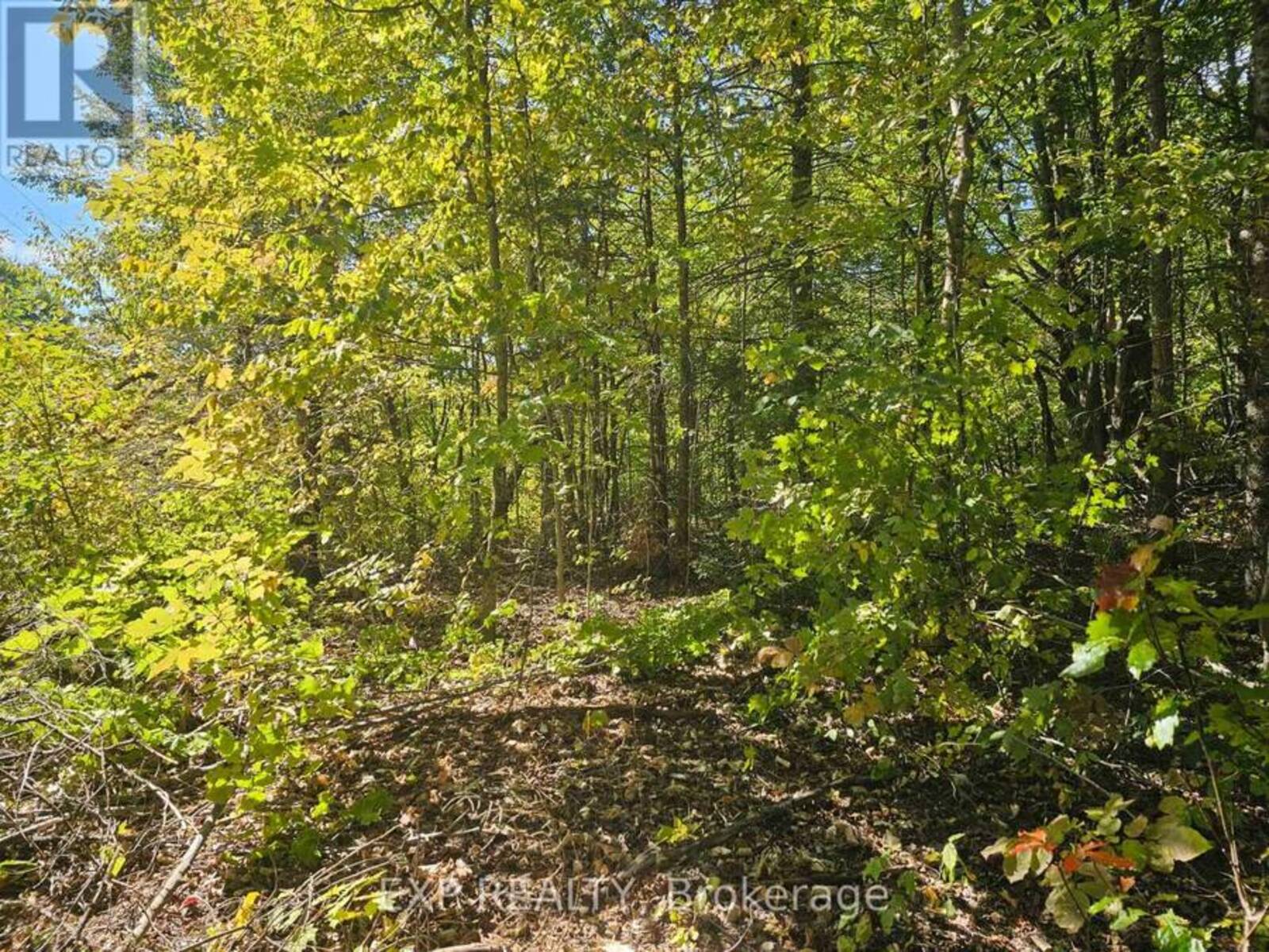 PART LOT 32 AND 33 PART 2 CONC 1 CONCESSION, Highlands East, Ontario K0M 1X0