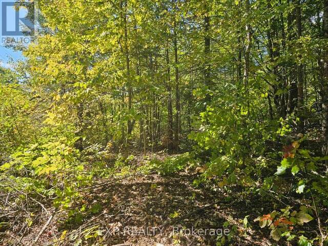 PART LOT 32 AND 33 PART 2 CONC 1 CONCESSION Highlands East Ontario, K0M 1X0 - Vacant Land For Sale