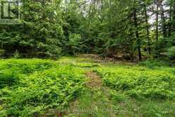 0 CROWN ISLAND ISLAND | Huntsville Ontario | Slide Image Thirty-three