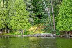 0 CROWN ISLAND ISLAND | Huntsville Ontario | Slide Image Thirty-seven