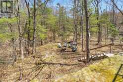 8 - 1336 S MORRISON LAKE ROAD | Gravenhurst Ontario | Slide Image Forty
