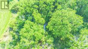 PT LT 15 CONC 3 NORFOLK COUNTY ROAD 19 | Wilsonville Ontario | Slide Image Eight