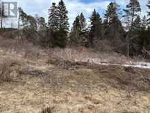 937054 AIRPORT ROAD | Mulmur Ontario | Slide Image Five