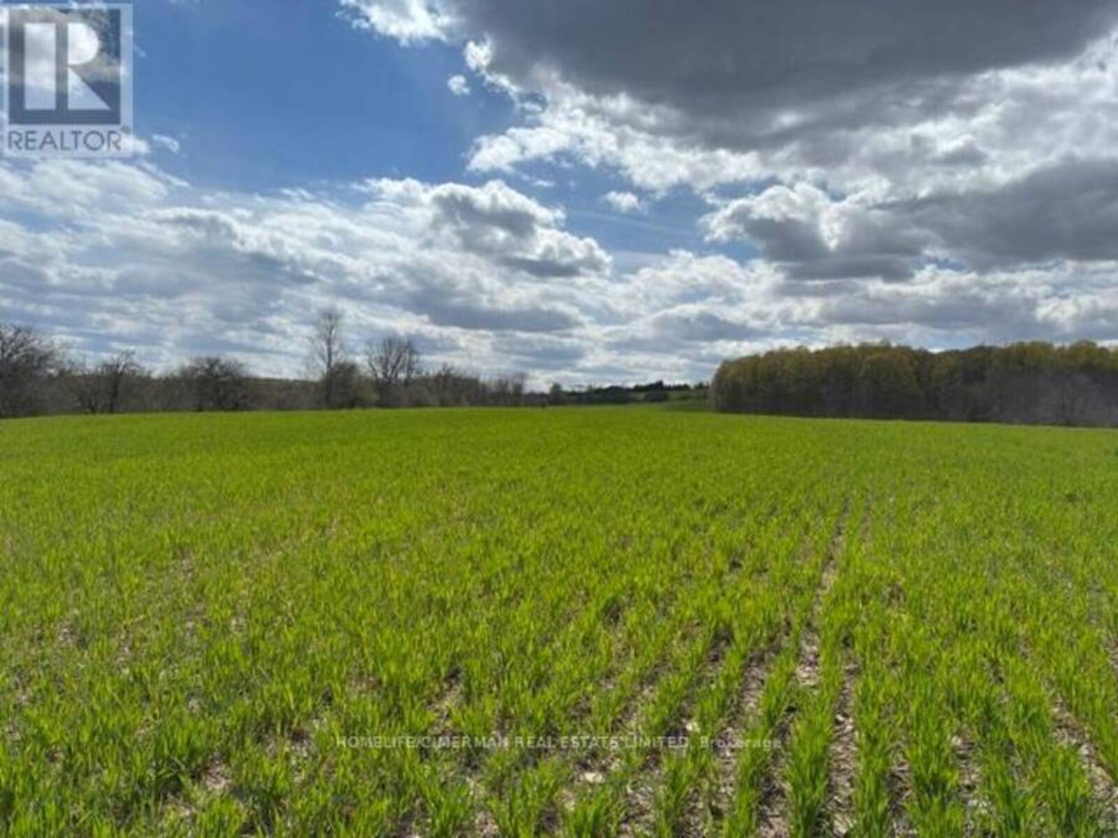 937054 AIRPORT ROAD, Mulmur, Ontario L9V 0L6