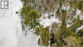 2411 SOYERS LAKE ROAD N | Haliburton Ontario | Slide Image Twenty-one