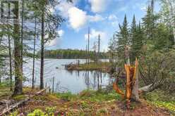 2411 SOYERS LAKE ROAD N | Haliburton Ontario | Slide Image Twenty-four