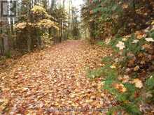 PT LOT 8 MACDUFF ROAD | Highlands East Ontario | Slide Image Two
