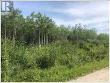 LOT9 CON7 PART 1 CROW CREEK ROAD | Opasatika Ontario | Slide Image Seven