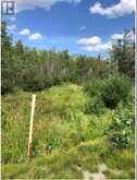 LOT9 CON7 PART 1 CROW CREEK ROAD | Opasatika Ontario | Slide Image Eight