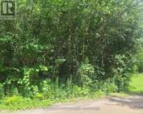 LOT 22 ROUTLEY AVENUE | Georgina Ontario | Slide Image Twenty-seven