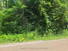 LOT 22 ROUTLEY AVENUE | Georgina Ontario | Slide Image Twenty-eight