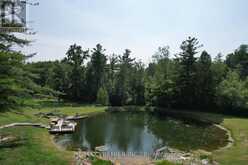 253 MORNING SIDE ROAD | East Gwillimbury Ontario | Slide Image Three