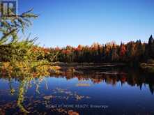 2087 MACHAR STRONG BOUNDRY ROAD | Sundridge Ontario | Slide Image One