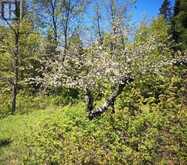 2087 MACHAR STRONG BOUNDRY ROAD | Sundridge Ontario | Slide Image Four