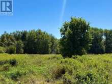 LT26&27 WELLINGTON RD 109 N | Arthur Ontario | Slide Image Sixteen