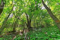 1614 NOTTAWASAGA CONCESSION RD 10 | Duntroon Ontario | Slide Image Thirty-eight