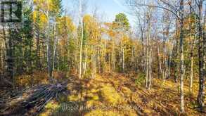 0 KAWAGAMA LAKE ROAD | Lake of Bays Ontario | Slide Image Eleven