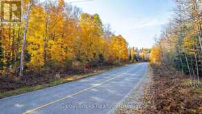 0 KAWAGAMA LAKE ROAD | Lake of Bays Ontario | Slide Image Seven