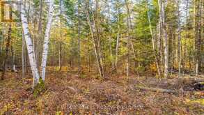 0 KAWAGAMA LAKE ROAD | Lake of Bays Ontario | Slide Image Nine