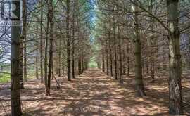 111440 11TH LINE | East Garafraxa Ontario | Slide Image Twenty-five