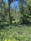 1382 WILSON POINT ROAD | Orillia Ontario | Slide Image Two