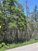 1382 WILSON POINT ROAD | Orillia Ontario | Slide Image Three