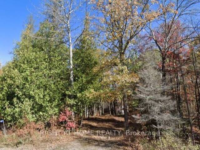 93 MCCLEARY ROAD Marmora Ontario, K0K 2M0 - Vacant Land For Sale