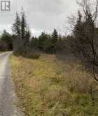 1411 PORTAGE ROAD | Kawartha Lakes Ontario | Slide Image Nineteen