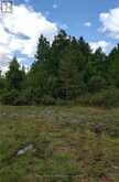 9 TALBOT RIVER ROAD | Kawartha Lakes Ontario | Slide Image Twenty-nine