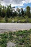 9 TALBOT RIVER ROAD | Kawartha Lakes Ontario | Slide Image Twenty-two