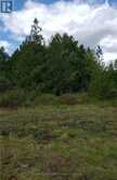 9 TALBOT RIVER ROAD | Kawartha Lakes Ontario | Slide Image Twenty-six